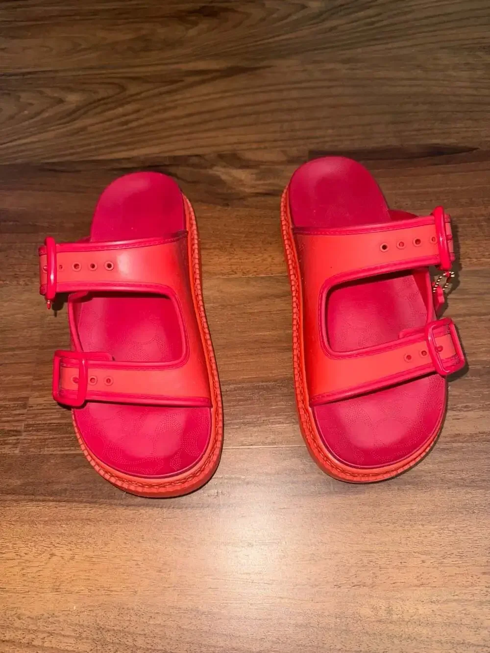 Coach Lucy Platform Rubber Sandal